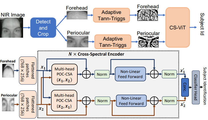 POC-based Cross-Spectral Attention